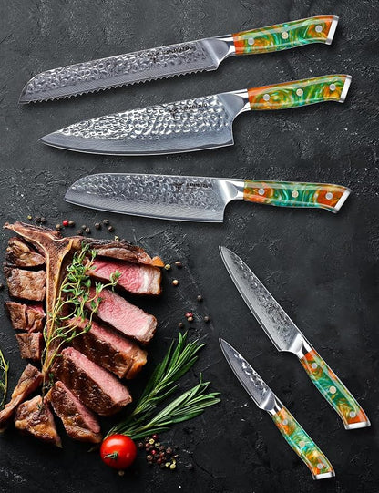 Kitchen Cooking Knife Set - 5 Pieces Chef Knives- Forged Damascus Steel & Resin Handle - Yao Series