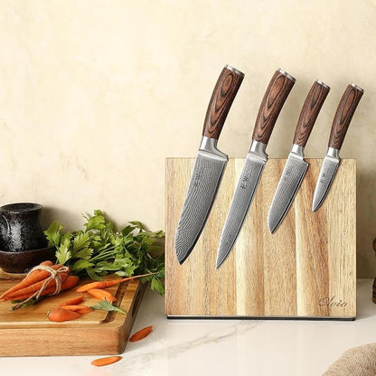 Wakoli EDIB 4-Piece Damascus Knife Block Set – Professional Kitchen Knives with Magnetic Acacia Block, 67-Layer Damascus Steel Blades and Ergonomic Pakkawood Handles – Premium Knife Set with Block