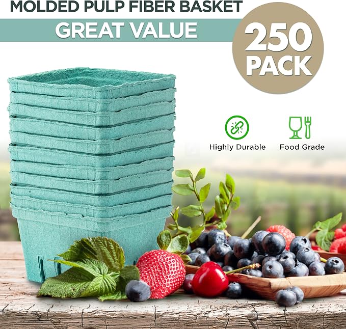 FMP Brands Molded Pulp Fiber Berry Basket Produce Vented Container for Fruit and Vegetable, Farmer Market, Grocery Stores and Backyard Party - [Pack of 250] - Quart, Green