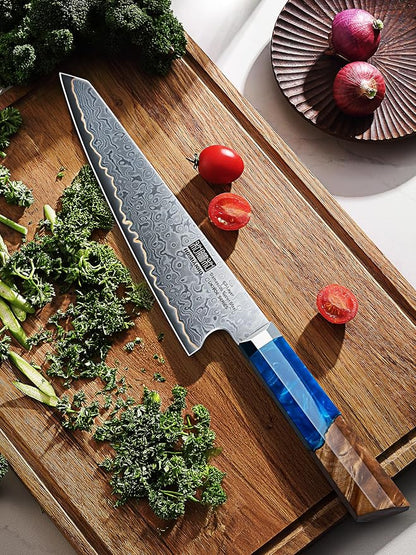 HOSHANHO Damascus Chef Knife 8 Inch, 67-Layer Damascus Super Steel Professional Kitchen Knife, Ultra Sharp Japanese Cooking Knives, Ergonomic Blue Resin Stabilized Wood Handle with Wood Gift Box