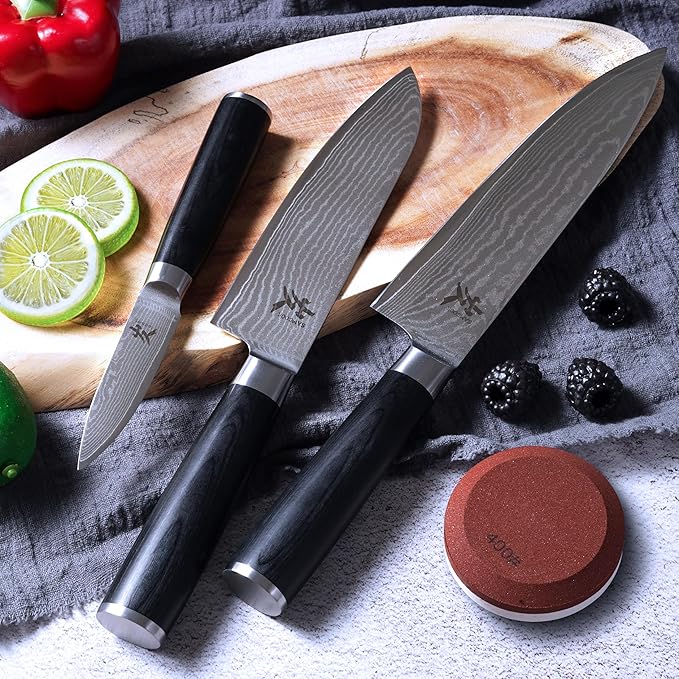 SAMCOOK Damascus Knife Set 4PCS,Ultra Sharp Professional Chef Knives Santoku Knife Paring Knife VG10 High Carbon Stainless Steel with Black Pakkawood Handle,Sharpening Stone,Premium Gift Box