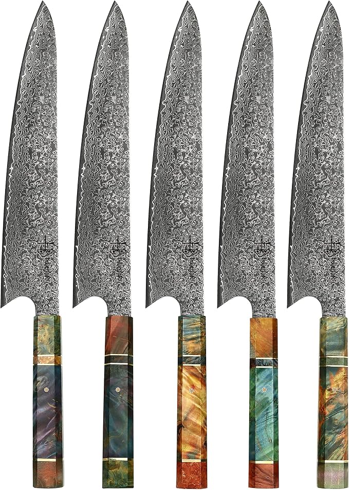 Damascus Chef Knife Unique One of Kind Handle Professional Japanese Chefs Kitchen Knife Vg10 67 Layers Damascus Steel Knive (Gyuto 10")