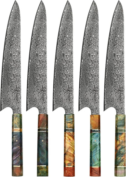 Damascus Chef Knife Unique One of Kind Handle Professional Japanese Chefs Kitchen Knife Vg10 67 Layers Damascus Steel Knive (Gyuto 10")