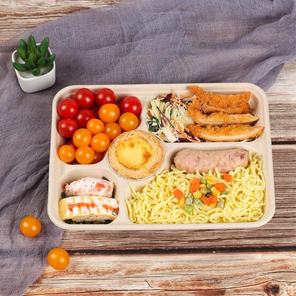 40 oz 5 Compartments disposable Sugarcane Fiber plates with Lids Bagasse Plant Fibers Freezer Safe 25 Pack