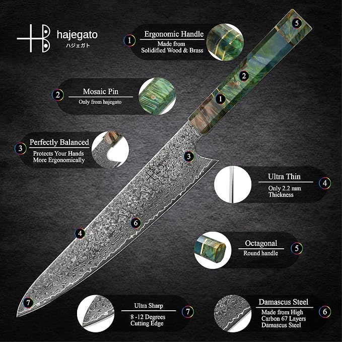 Damascus Chef Knife Unique One of Kind Handle Professional Japanese Chefs Kitchen Knife Vg10 67 Layers Damascus Steel Knive (Gyuto 10")