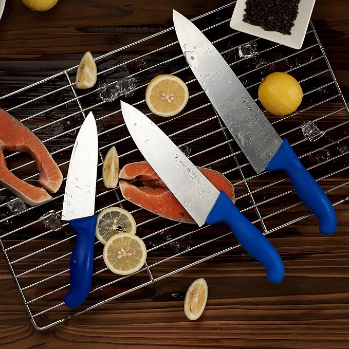 CURTA 10-inch Commercial-Grade Chef's Knife, NSF Listed, Ergonomic, Non-slip Blue Handle, High Carbon 420 Stainless Steel Forged Blade Straight Edge, Dishwasher Safe, Rust Proof