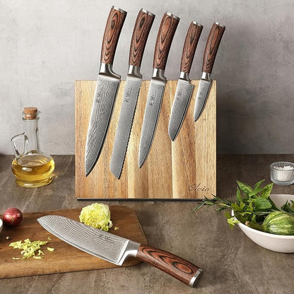 Wakoli EDIB 6-Piece Damascus Knife Block Set, VG10 Core 67-Layer Damascus Steel Kitchen Knives with Magnetic Acacia Wood Block, Ergonomic Pakkawood Handles, Hand Wash Only