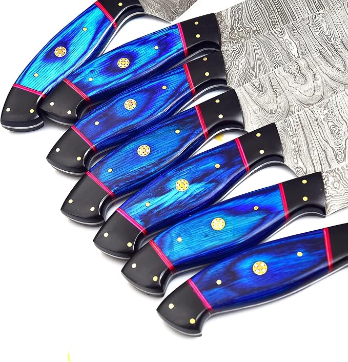 Professional Kitchen Knives Custom Made Damascus Steel 7 pcs of Professional Utility Kitchen Chef’s Knife Set with Pocket Case Chef Knife Set with Roll Bag (1063)
