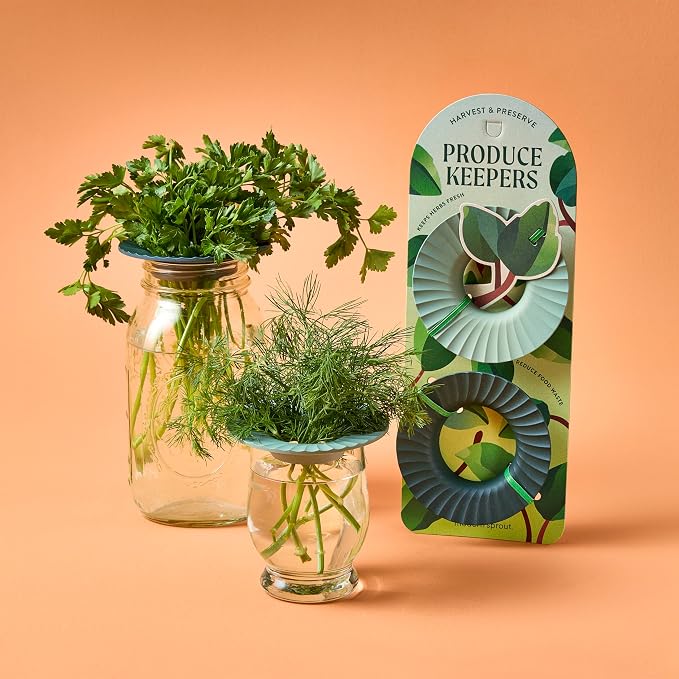 Modern Sprout Botanical and Produce Keeper for Floral Arranging, Herb Keeping, and Plant Propagation - Food Safe and BPA-Free, Sustainable Materials, Hydration Tray - Extends Freshness - 2 Pack