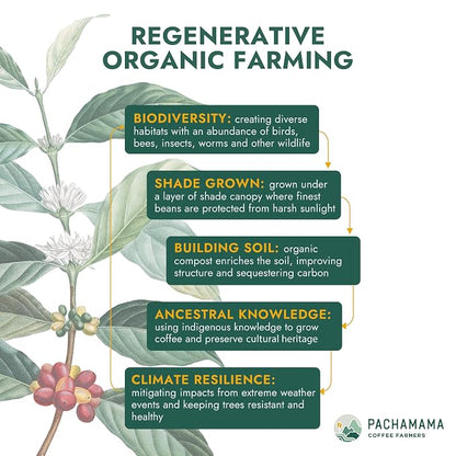 Pachamama Organic Coffee - Espresso Beans - Dark Roast Whole Bean Coffee - 2 lb - Farmer Owned & Regenerative