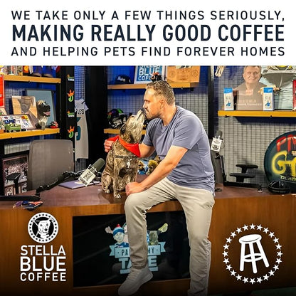 Stella Blue Cold Brew Coffee Bags, Big Cat Blend, Medium Roast Ground Coffee, Smooth, Bold and Refreshing 100% Arabica, 6 Brew Packets, Makes 24 Cups, Rainforest Alliance Certified