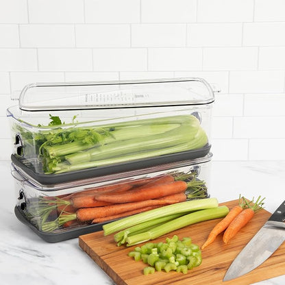 Progressive ProKeeper Stackable Produce ProKeeper Storage Container with Stay-Fresh Vent System (PKS-917 (5.7qt Long Produce))