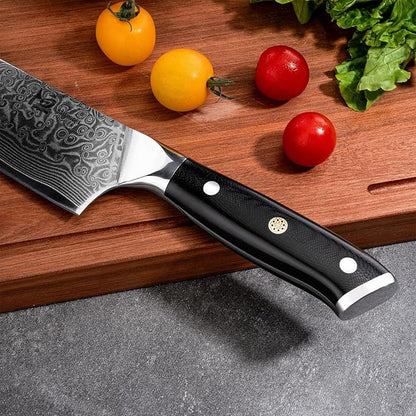 Chef Knife 8 Inch Japanese Steel Damascus Kitchen Knife, VG-10 Damascus Super Steel Kitchen Knife,Ultra Sharp Professional Cooking Knife with Ergonomic G10 Handle,Including Luxury Gift Box