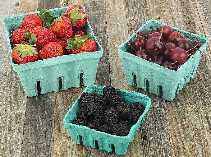 MT Products Green Berry Basket 1/2 Pint - Molded Pulp Fiber Vented Produce Basket (Pack of 15) - Made in the USA