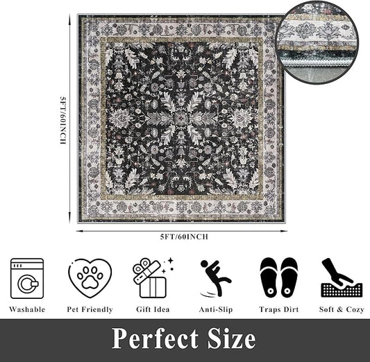 Square Rugs 5x5 Washable for Entryway: Non Slip Indoor Foot Carpet for Living Room, Boho Soft Black 5'x5' Low Pile Neutral Area Rug for Kitchen Dining Room Bathroom (Black, 5x5)