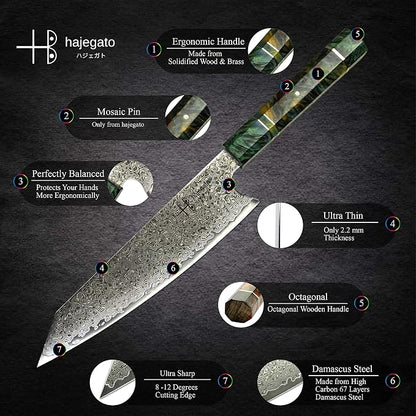 Damascus Chef Knife Kiritsuke Unique One Of Kind Handle Professional 8 Inch Japanese Chefs Kitchen Knife Vg10 67 Layers Damascus Steel Knive with Sheath