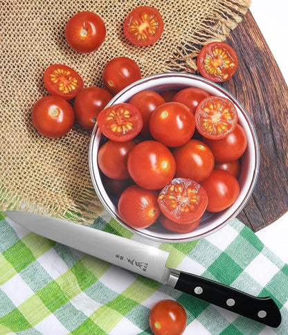 MASAMOTO AT Japanese Petty Knife 5" (120mm) Kitchen Small Utility Knife, Sharp Japanese Stainless Steel Blade, Pakkawood Handle, Made in JAPAN