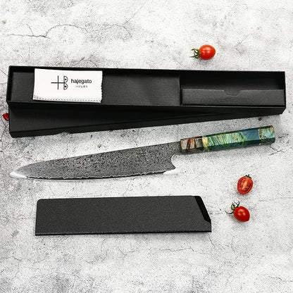 Damascus Chef Knife Unique One of Kind Handle Professional Japanese Chefs Kitchen Knife Vg10 67 Layers Damascus Steel Knive (Gyuto 10")
